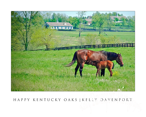 Happy KY Oaks - mother foal - kd