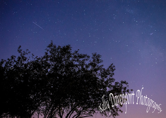 Stargazing at the Apple Orchard - Owen Co KY - 8-3-14 by Kelly Davenport-2