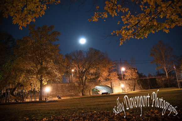 An Autumn Night in Tyler Park