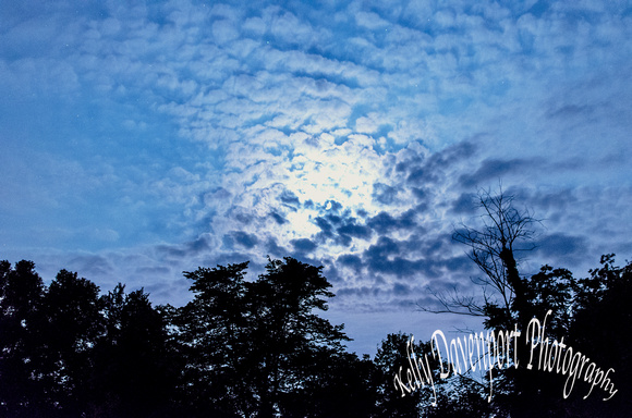 Moonlight Over the Bluegrass II-by Kelly Davenport-DSC_5192