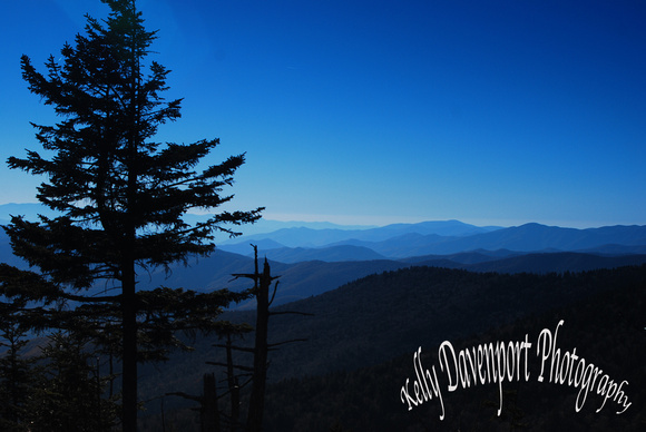 Smoky Mountain Blues